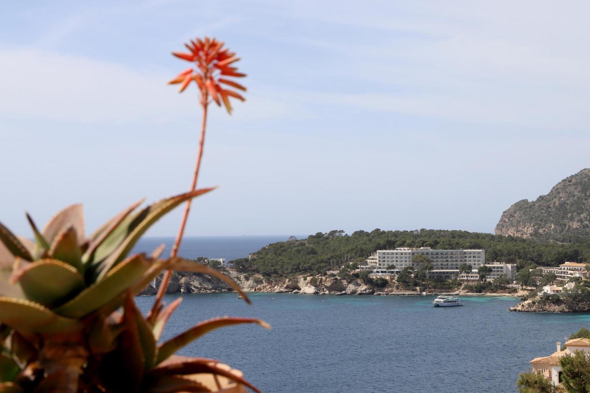 Apartament Aldea 2 Cala Fornells Peguera Zewnętrze zdjęcie